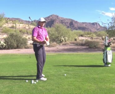 Milo Lines on Fundamentals of Golf
