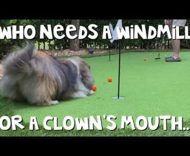 Lucy Loves Golf!