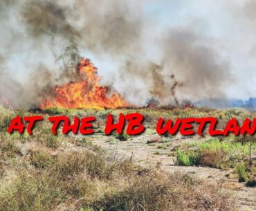 FIRE at Bolsa Chica Wetlands!! #bolsachicafire #fireatwetlands #wetlandsfire
