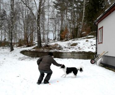 Cisco chasing golf balls in the snow :-)