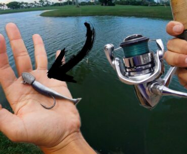 Light Tackle Pond TARPON