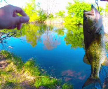 Golf Course Pond Bass Fishing/ Pond Hopping