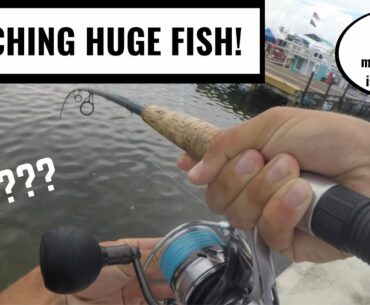 Landing HUGE Fish On Police Dock While Fishing Key West (Almost Caught!)