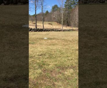 My Backyard Baseball Field Tour