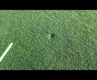 Morningstar Golf Club- Pitch Mark repair - Part 2