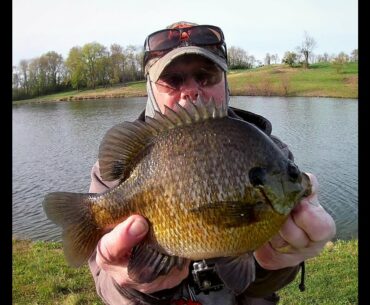 Part 1: THE QUEST for GIANT BLUEGILLS! Insane fishing for huge bluegills!