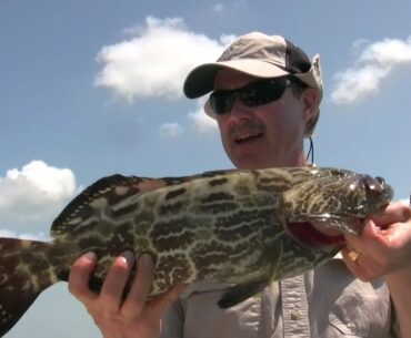 How to Catch Grouper in the Florida Keys