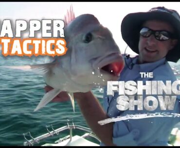 Snapper Tactics