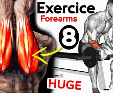 8 BEST Exercises  Forearms workout for Bigger (dumbbells - Barball)