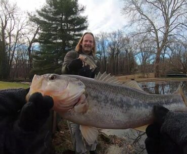 Winter Bass Fishing Golf Course Pond