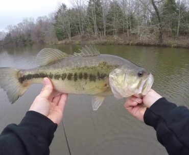 what is WRONG with this fish? Fishing in 30 degree weather