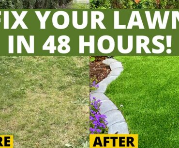 How to Fix An Ugly Lawn with Artificial Turf - Epic Front Lawn Makeover