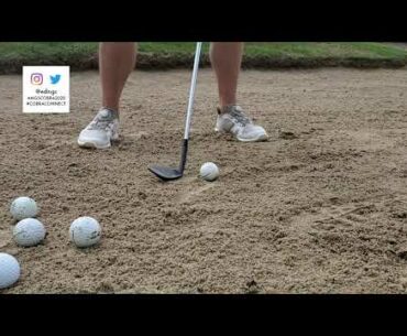 #MGSCobra2020 #CobraConnect Cobra KING MIM Black Wedge Shots