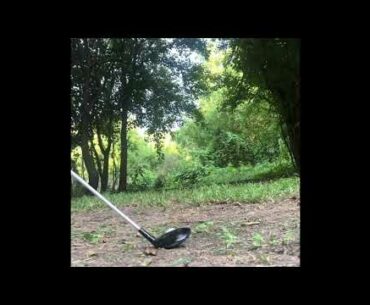 5 wood stinger in the woods