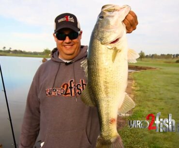 Keep Bank Fishing Simple for More BIG BASS like these!