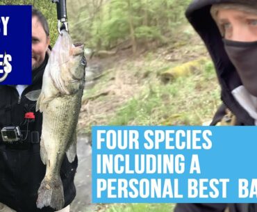 FOUR Species including a PERSONAL BEST Largemouth Bass!