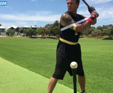 Batting Stance Trainer