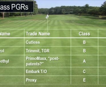 Webcast: Poa annua Control on Putting Greens