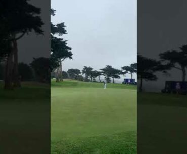 Morikawa eagle putt on 16 PGA Harding Park 2020