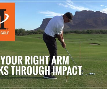 Malaska Golf // How Your Right Arm Works Through Impact - The Single Most Important Position in Golf