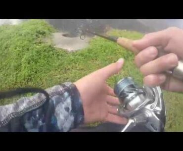 SNOOK FISHING IN A SMALL CANAL!!!