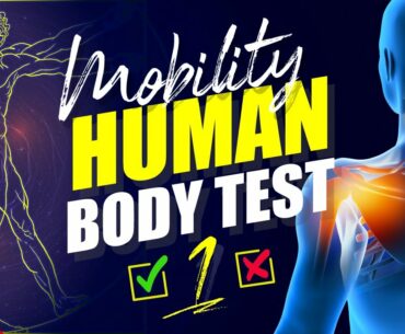 Is My Body In BALANCE? | HUMAN BODY TEST Mobility 1 "Shoulder and Thoracic Spine"