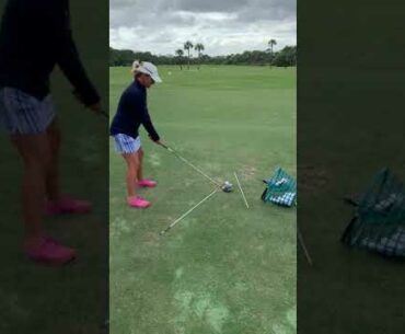 Set up steps to hit a baby draw with your driver
