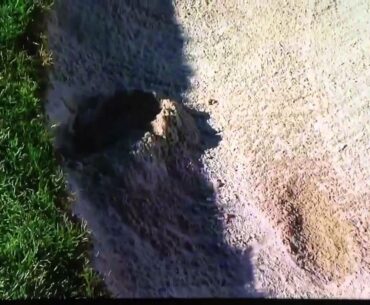 Tiger Woods sand save at Torrey Pines