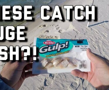 HUGE Redfish on Gulp Sandfleas!! - Surf Fishing Alabama Gulf Coast