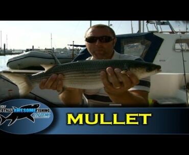 Float fishing for Mullet- Totally Awesome Fishing