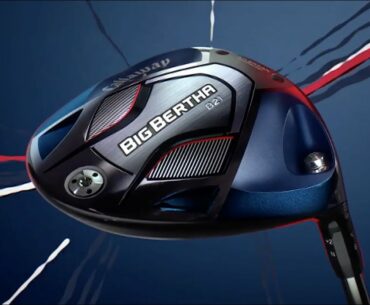Big Bertha B21 Here's the Truth 15
