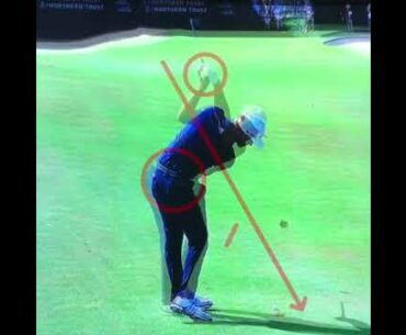 Dustin Johnson golf swing 2017