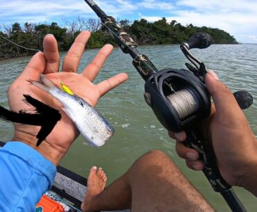 Fishing with Chunk MULLET for Snook