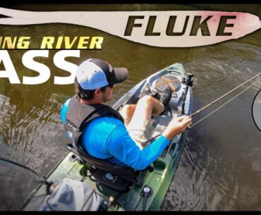 4 Tips for Bass Fishing Rivers with Flukes