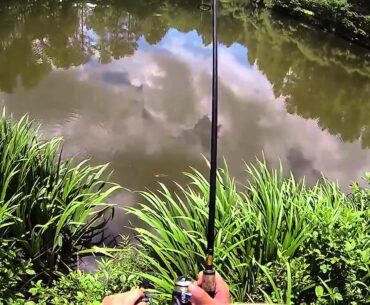 Summer Jerkbait Bass Fishing Edit! (Gopro Hero 3 Black)