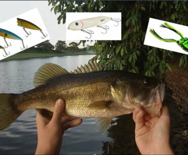 Golf course bass LOVE topwater lures!!!!