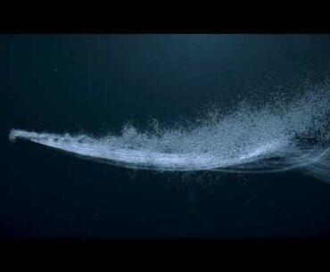 Mizuno Flat Swim Concept