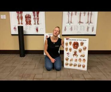 Working the Masseter with a Lacrosse Ball