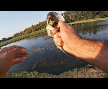 Summer bass fishing