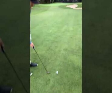 Whoopsie with the wedge at Olympic golf Club Lake Course San Francisco California beautiful