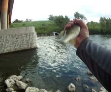Jake the Jinx - Fishing is always good until he shows up.