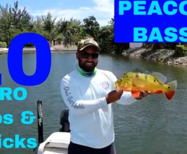 How To Catch Peacock Bass