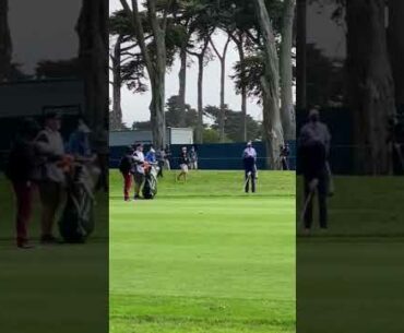 Tiger Woods golf swing iron approach on 9 at Harding Park 2020 PGA