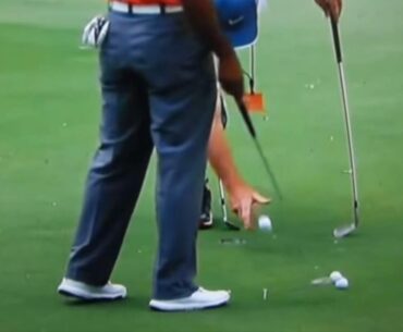 Putting Tiger Woods Style