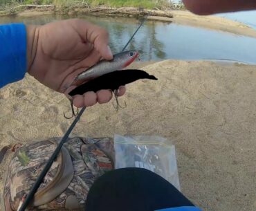 Is this the BEST LURE for SNOOK??