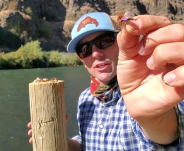 Weekly Fishing Report and Tips // September 1st, 2020