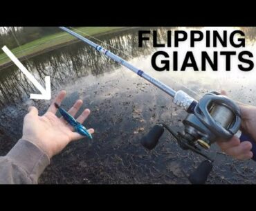 Flipping For GIANT Spring Bass!