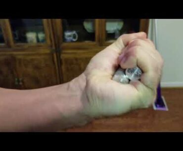 Ironmind Captains of Crush #2 hold with left, and right hand. Grip Genie #5 close attempt.