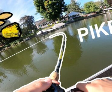 River Fishing for PIKE!!