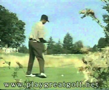 Tiger Woods Amateur Driver Swing 1996